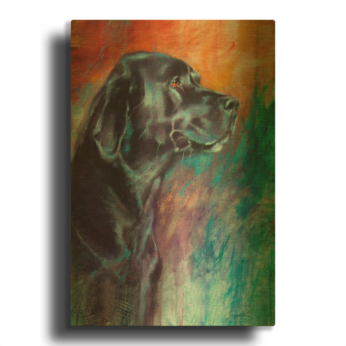 'Rainbow Retriever' By Robert Campbell Gold Metal Wall Art
