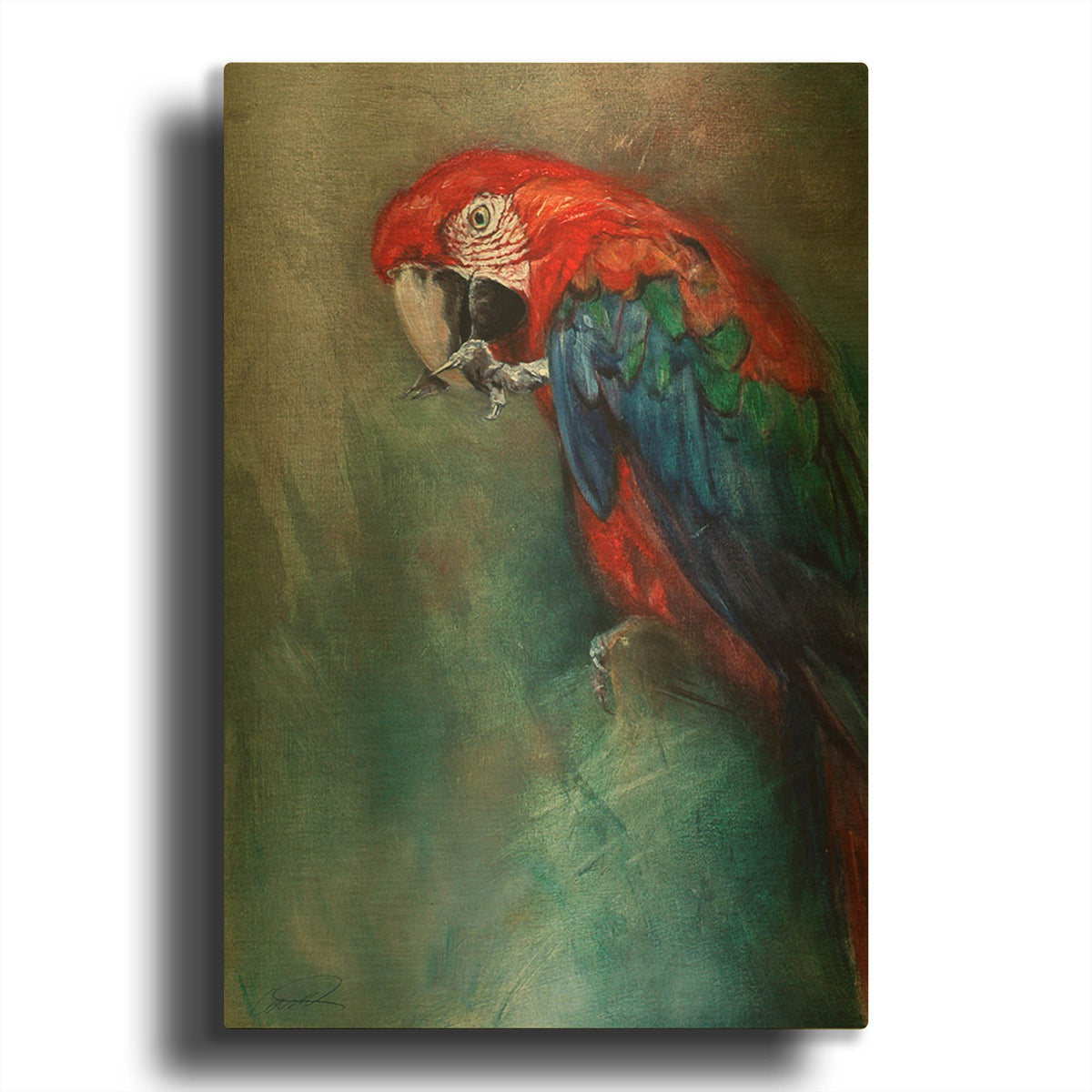 'Aw Macaw' By Robert Campbell Gold Metal Wall Art