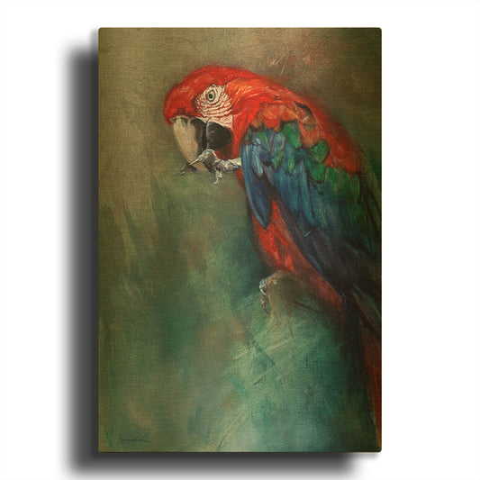 'Aw Macaw' By Robert Campbell Gold Metal Wall Art