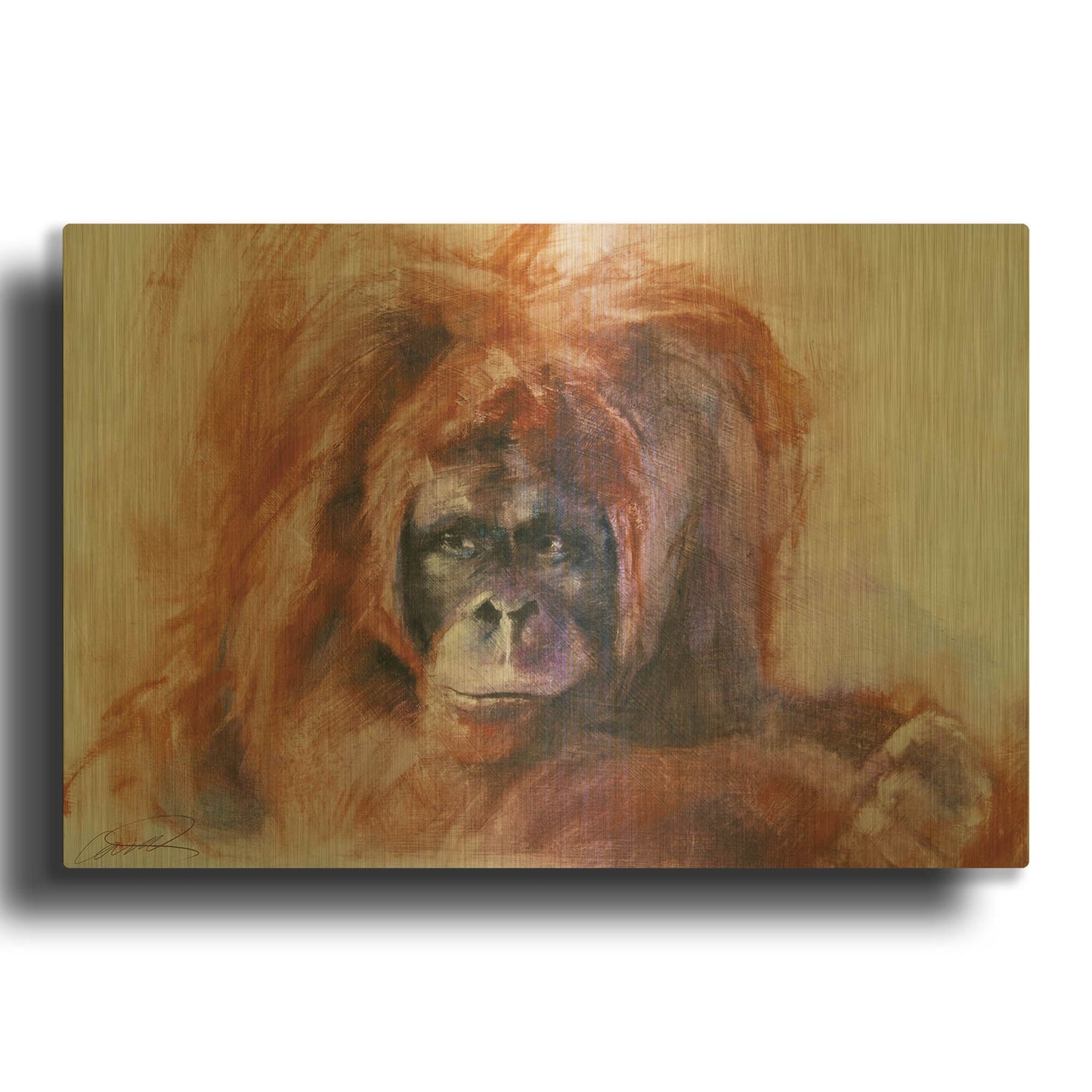 'The Daydreamer Orangutan' By Robert Campbell Gold Metal Wall Art