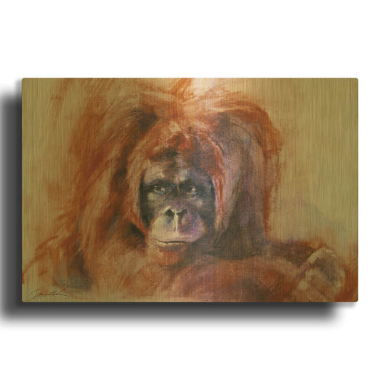 'The Daydreamer Orangutan' By Robert Campbell Gold Metal Wall Art