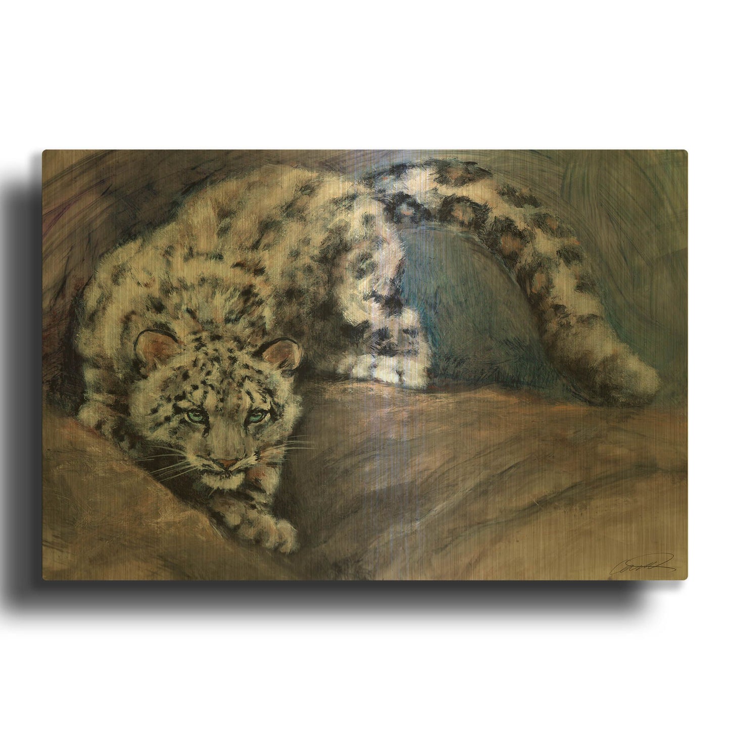 'Stalking Snow Leopard Cub' By Robert Campbell Gold Metal Wall Art