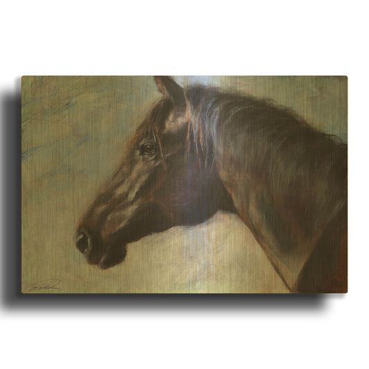 'Equine Encounter' By Robert Campbell Gold Metal Wall Art