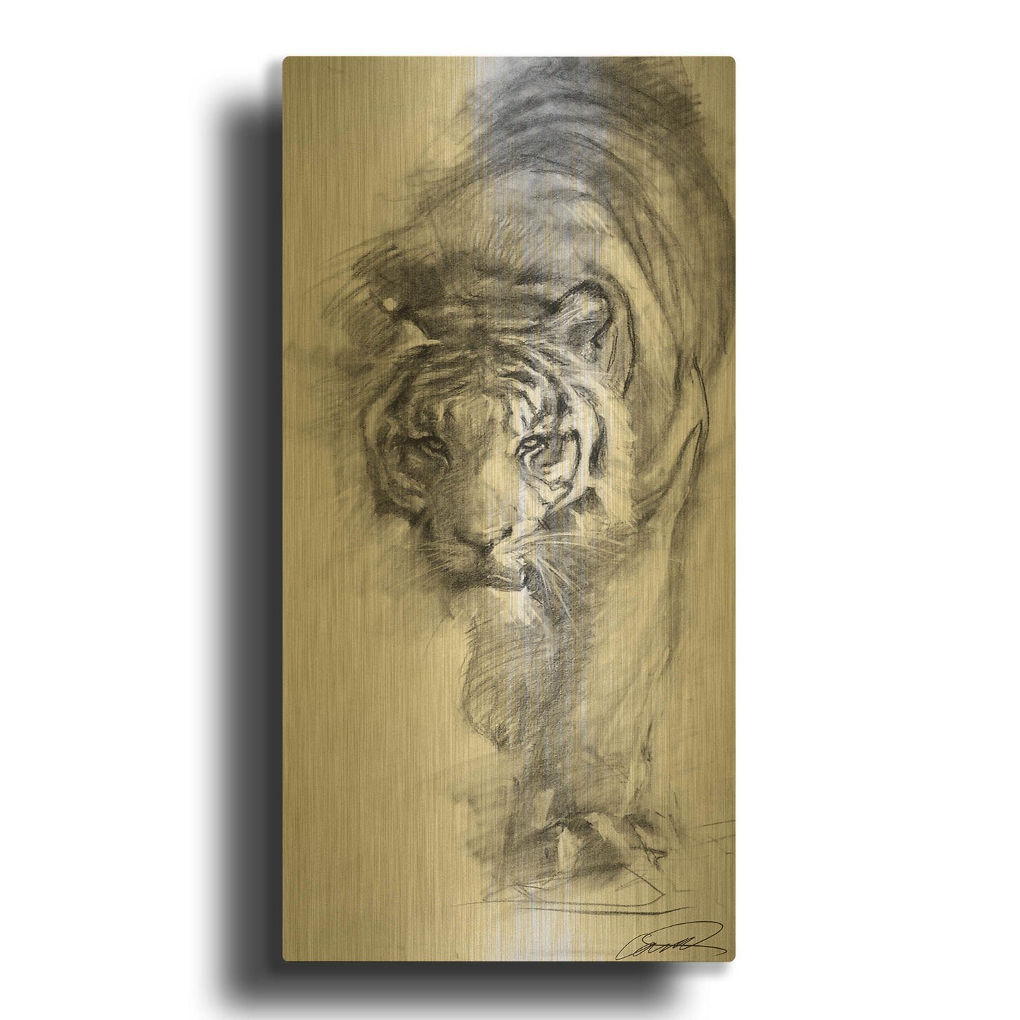 'Tiger approaching sketch' By Robert Campbell Gold Metal Wall Art