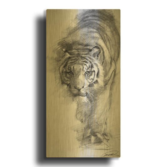 'Tiger approaching sketch' By Robert Campbell Gold Metal Wall Art