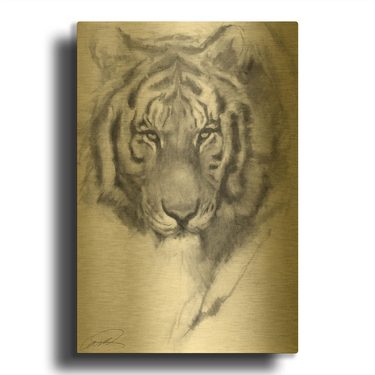 'Tiger Portrait sketch' By Robert Campbell Gold Metal Wall Art