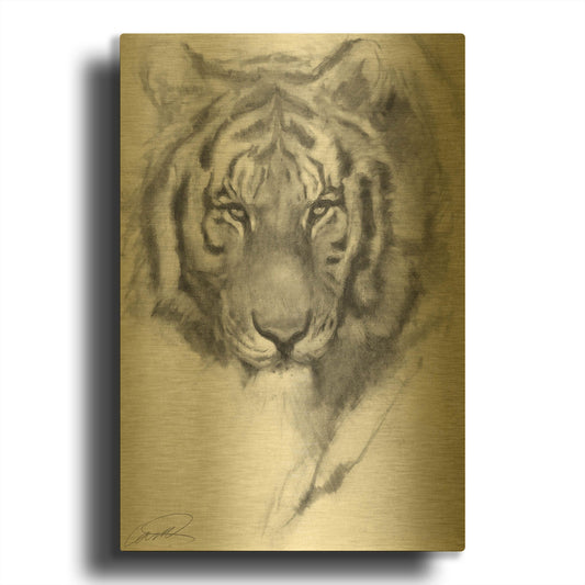 'Tiger Portrait sketch' By Robert Campbell Gold Metal Wall Art