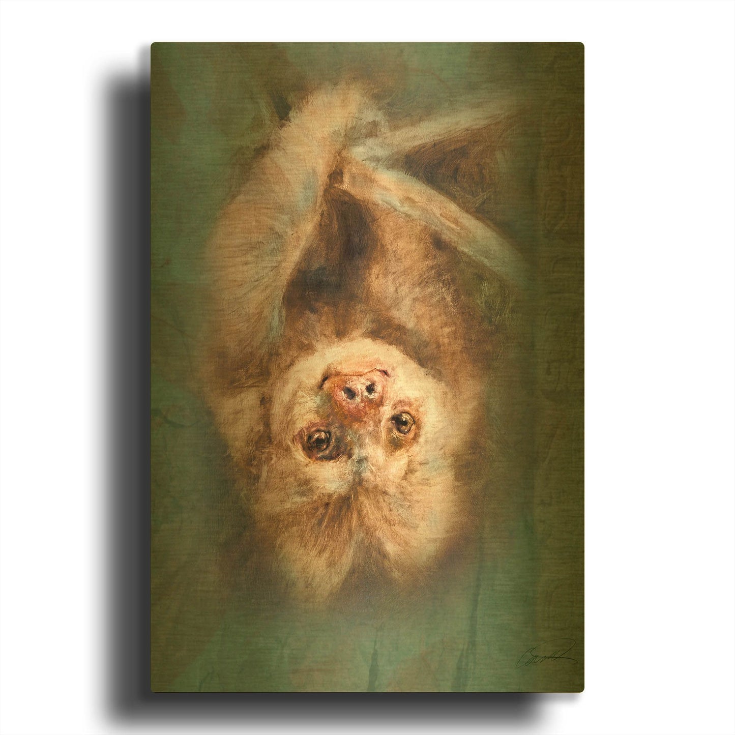 'Two-Toed Sloth' By Robert Campbell Gold Metal Wall Art