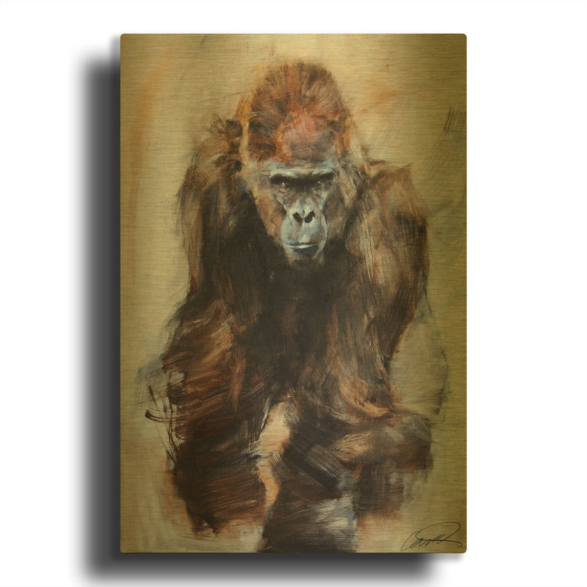 'Gorilla Glare' By Robert Campbell Gold Metal Wall Art