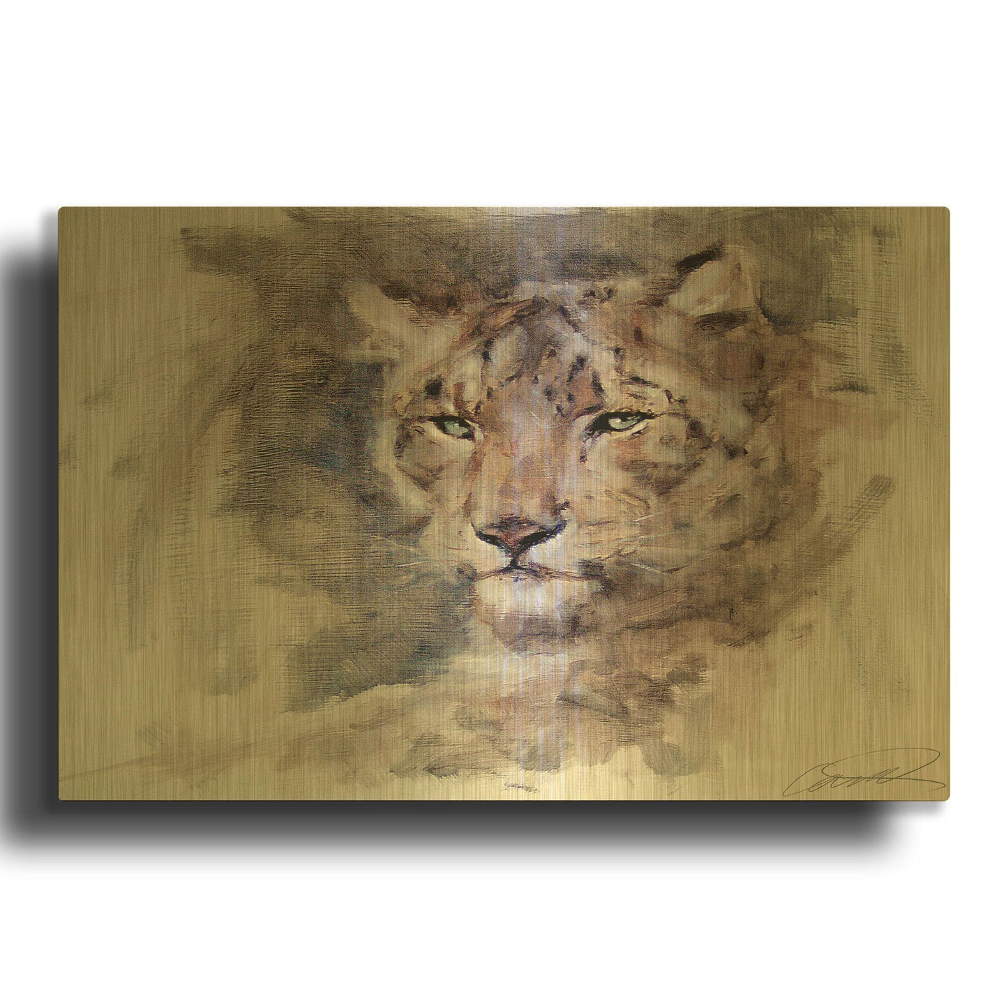 'Snow Leopard Stare' By Robert Campbell Gold Metal Wall Art