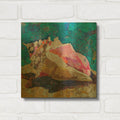 'Conch' By St. Hilaire Elizabeth Gold Metal Wall Art