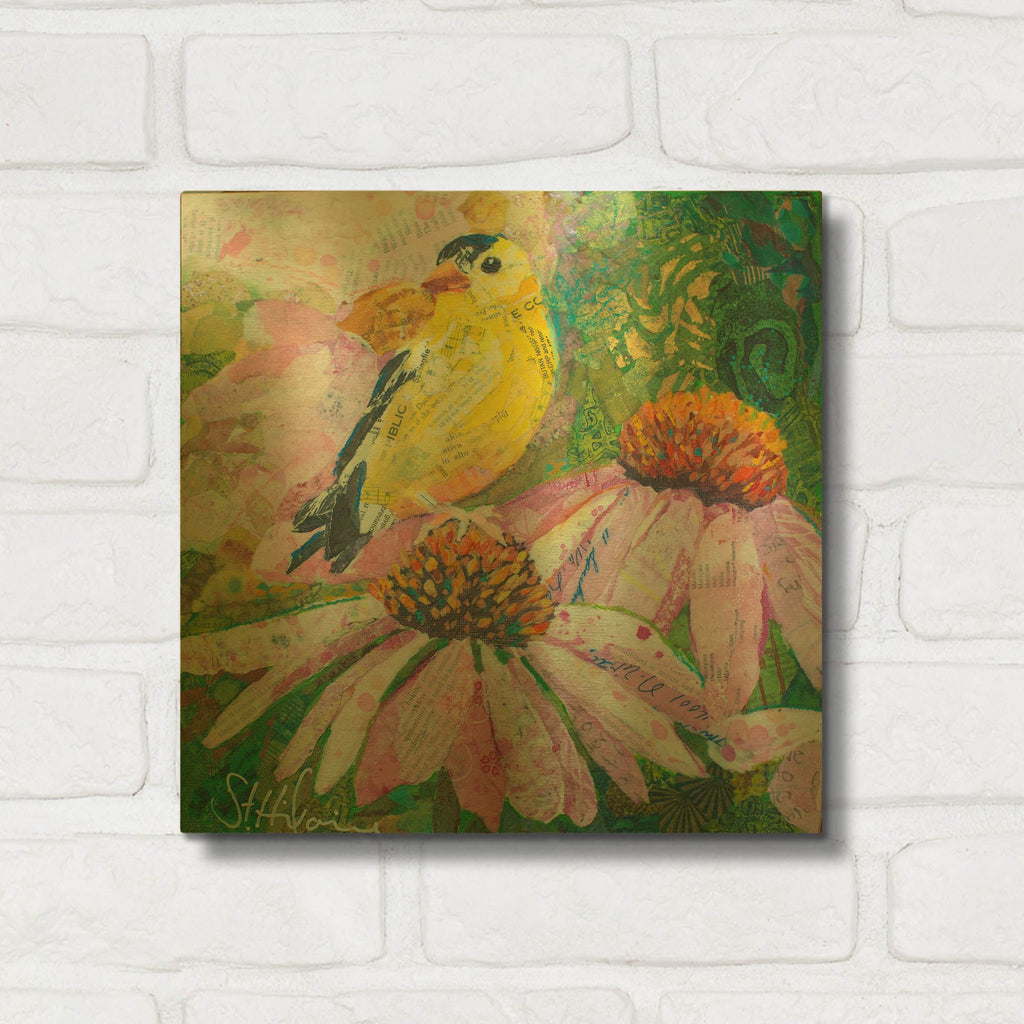 'Finch on Coneflowers' By St. Hilaire Elizabeth Gold Metal Wall Art