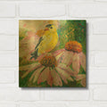 'Finch on Coneflowers' By St. Hilaire Elizabeth Gold Metal Wall Art