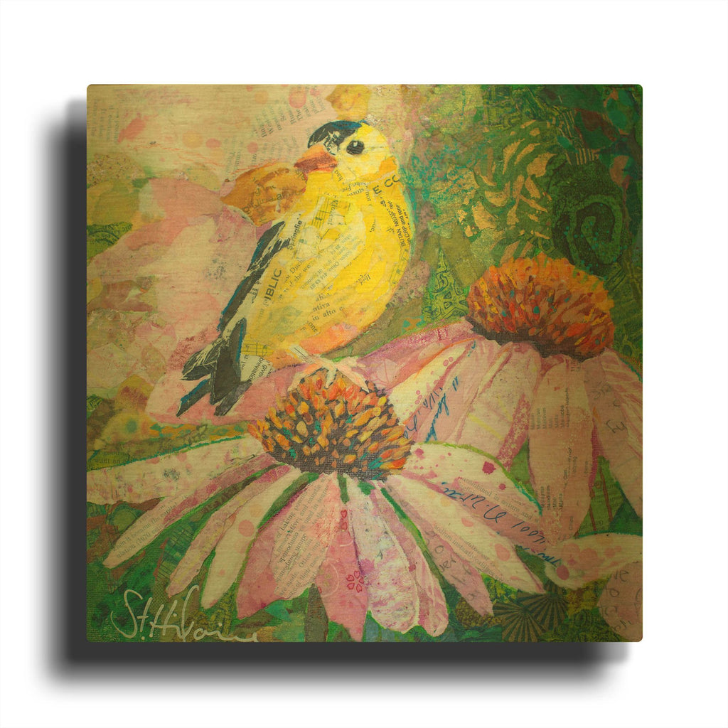 'Finch on Coneflowers' By St. Hilaire Elizabeth Gold Metal Wall Art