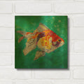'Just Keep Swimming' By St. Hilaire Elizabeth Gold Metal Wall Art