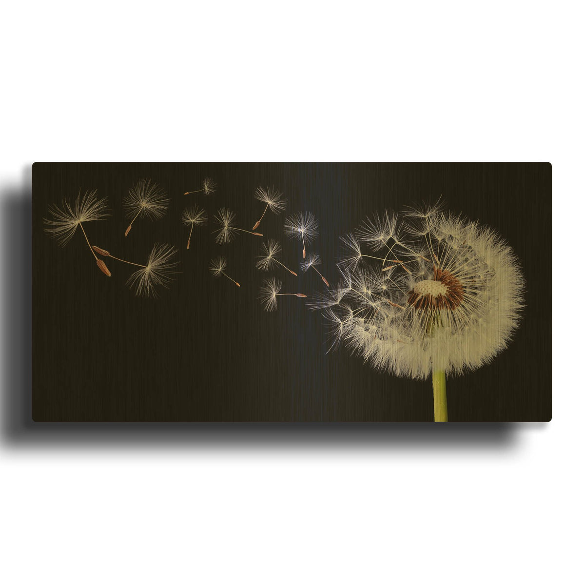 'Flying Dandelion' By Bess Hamiti Gold Metal Wall Art