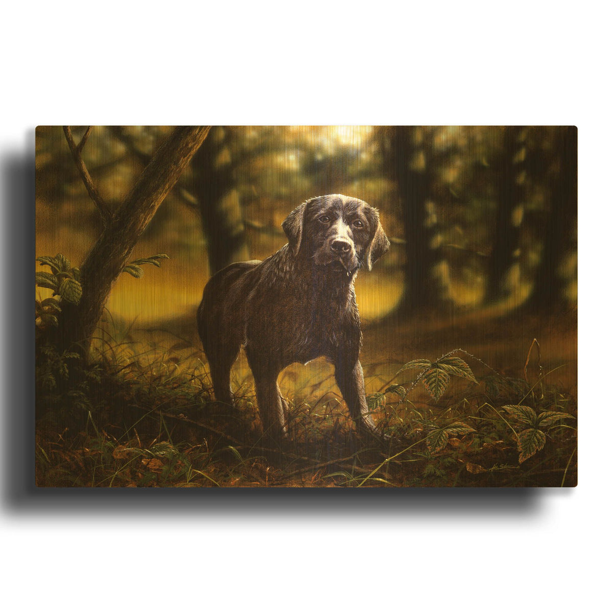 'Dream Dog' By John Silver Gold Metal Wall Art