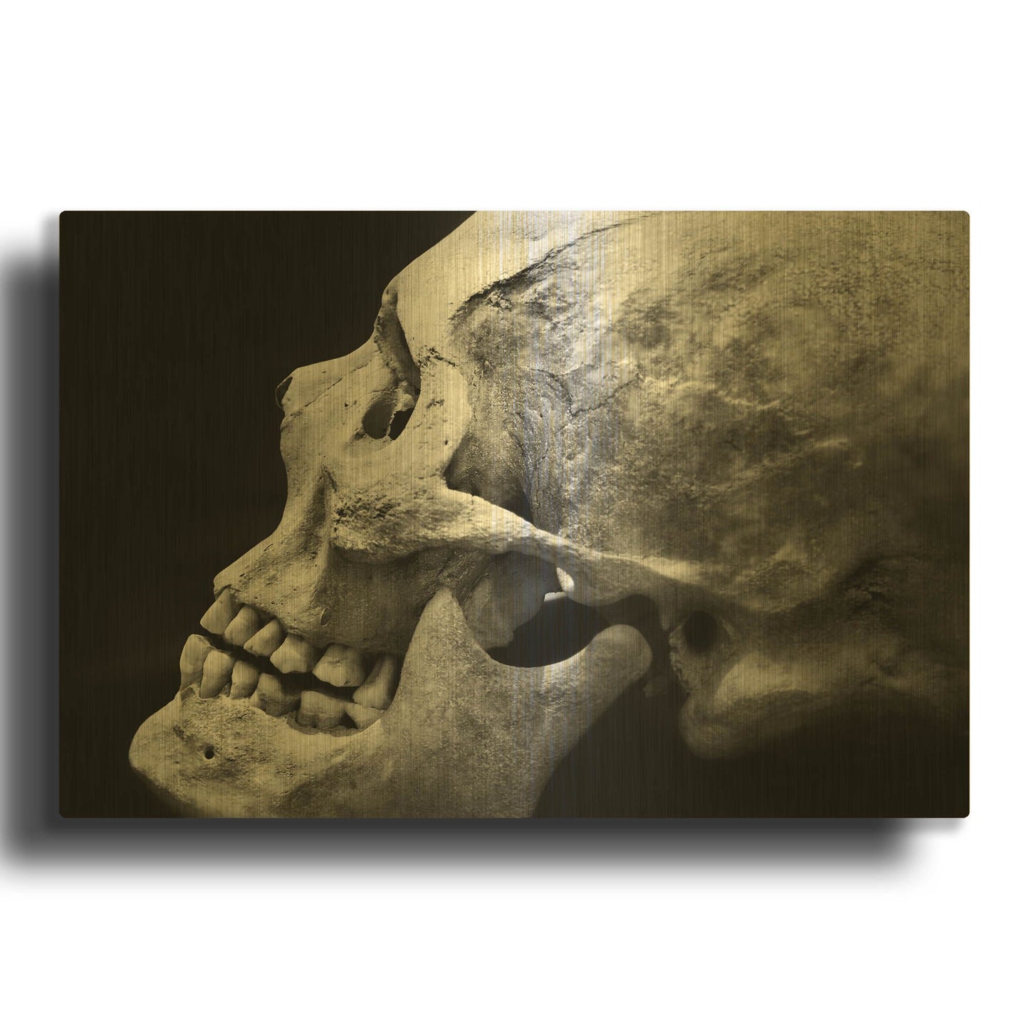 'The Beauty of Bones 2' By Ben Heine Gold Metal Wall Art