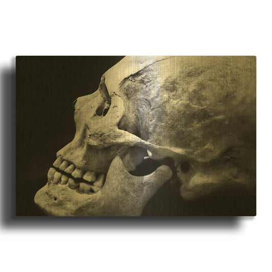 'The Beauty of Bones 2' By Ben Heine Gold Metal Wall Art