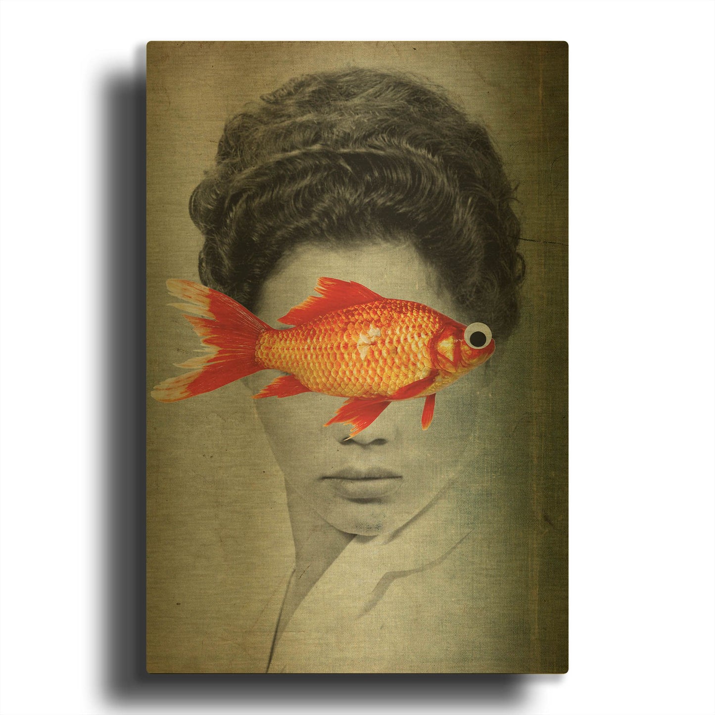 'Fish Eye' By Elo Marc Gold Metal Wall Art
