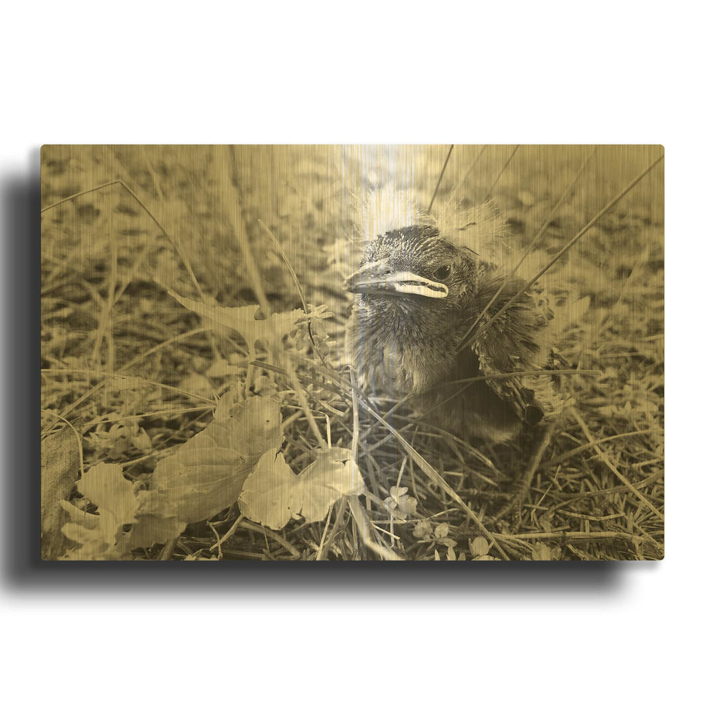 'Nestling Larry' By IMB Gold Metal Wall Art