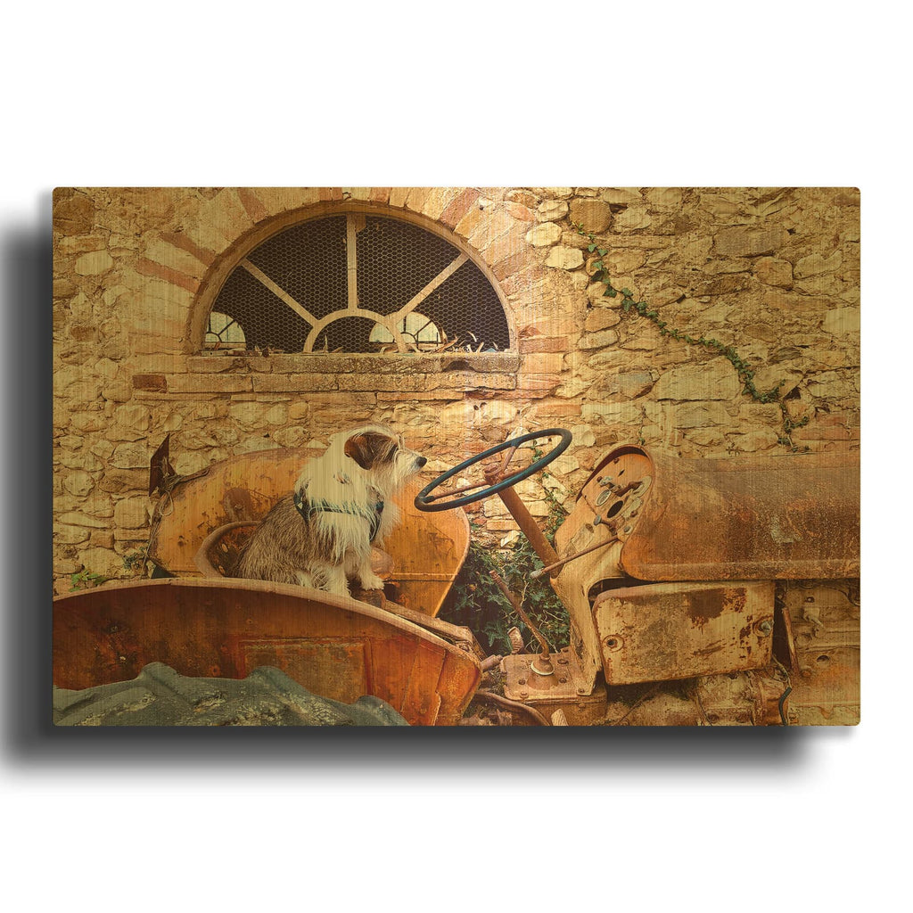 'Archibald the Farmer' By IMB Gold Metal Wall Art