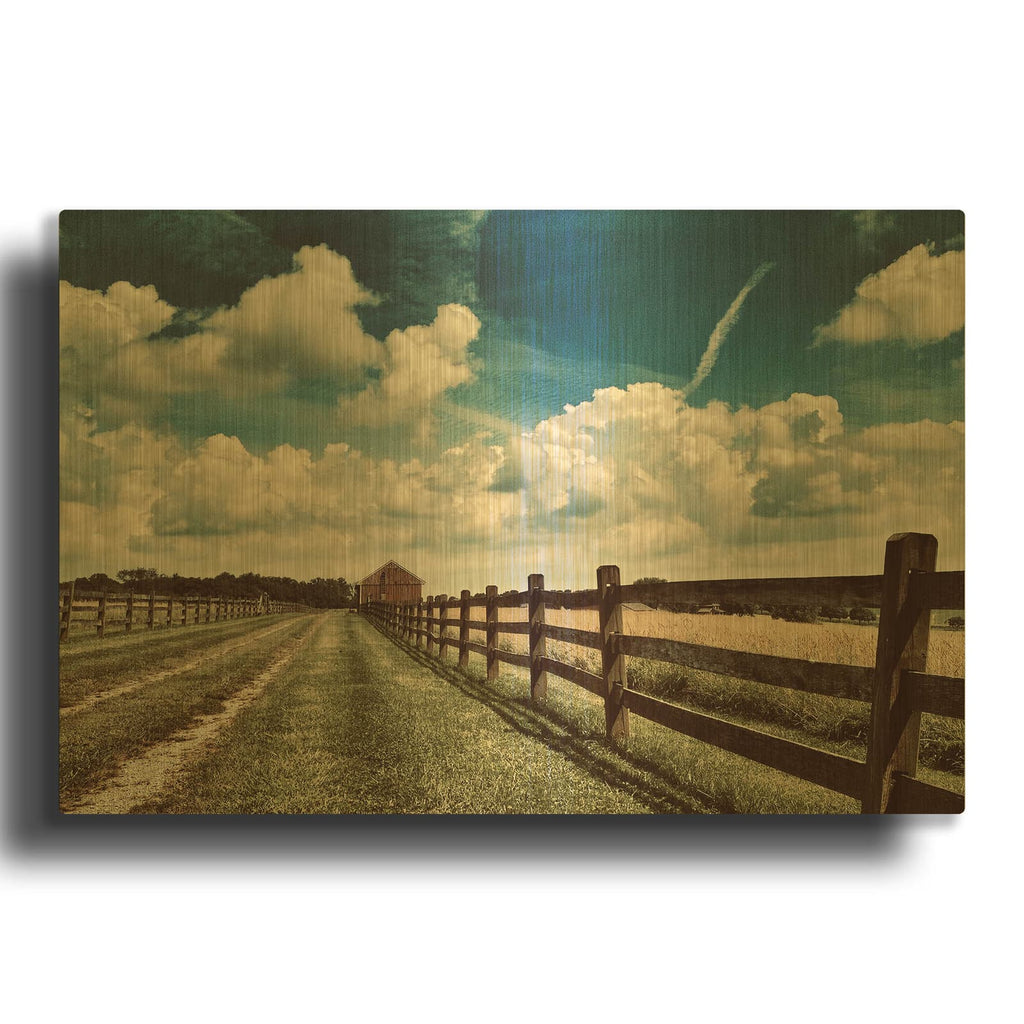 'Wolf Creek Perspective' By IMB Gold Metal Wall Art