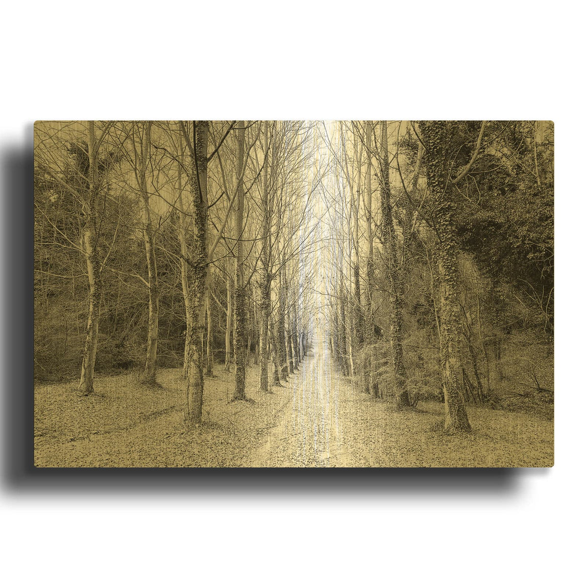 'The Way Forward' By IMB Gold Metal Wall Art