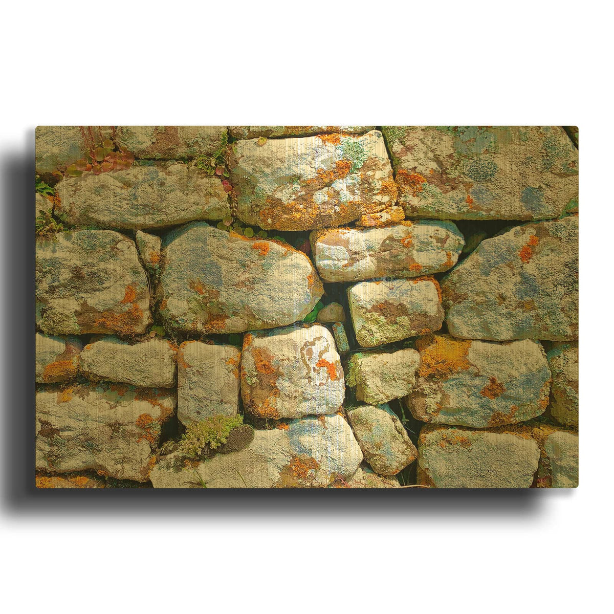 'Mossed Walls Never Roll' By IMB Gold Metal Wall Art