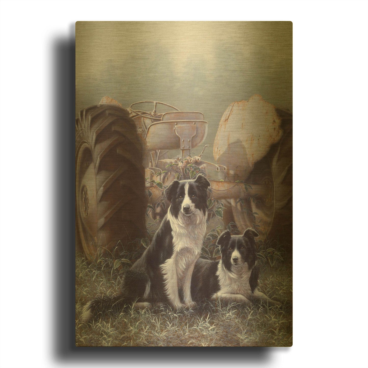 'Border Collies Heroes Of The Hills' By John Silver Gold Metal Wall Art