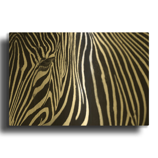 'Zebra in Lisbon Zoo' By Andy Mumford Gold Metal Wall Art