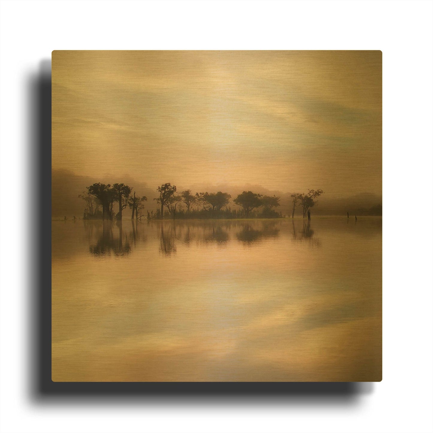 'Dawn Mist on the Amazon' By Andy Mumford Gold Metal Wall Art