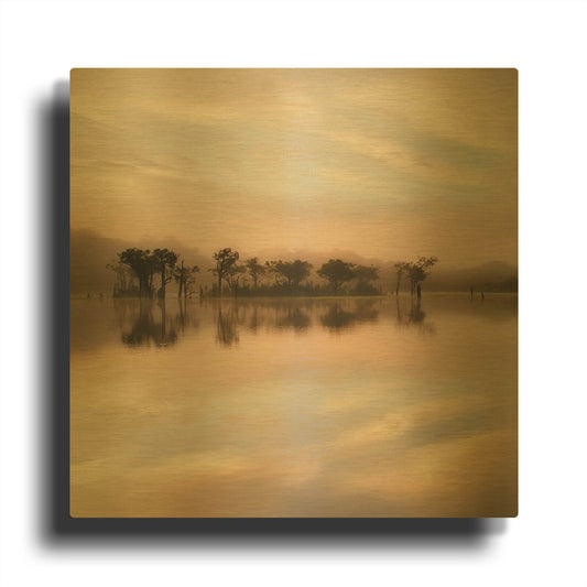 'Dawn Mist on the Amazon' By Andy Mumford Gold Metal Wall Art