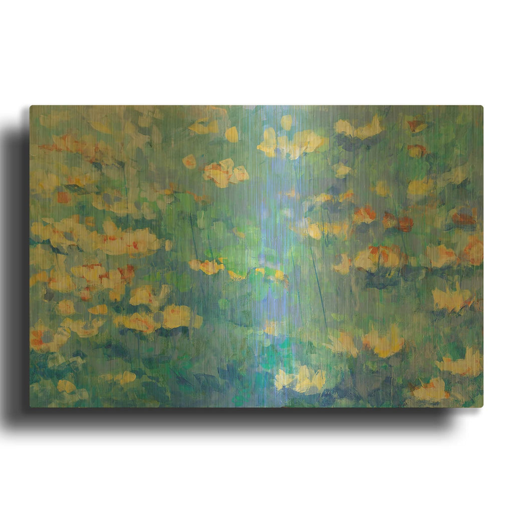 'Shenandoah' By Cassandra Gillens Gold Metal Wall Art