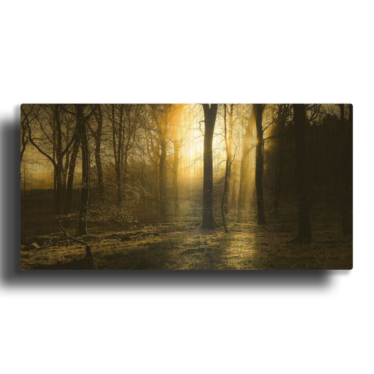 'Autumn Lights' By Goncalves Gold Metal Wall Art