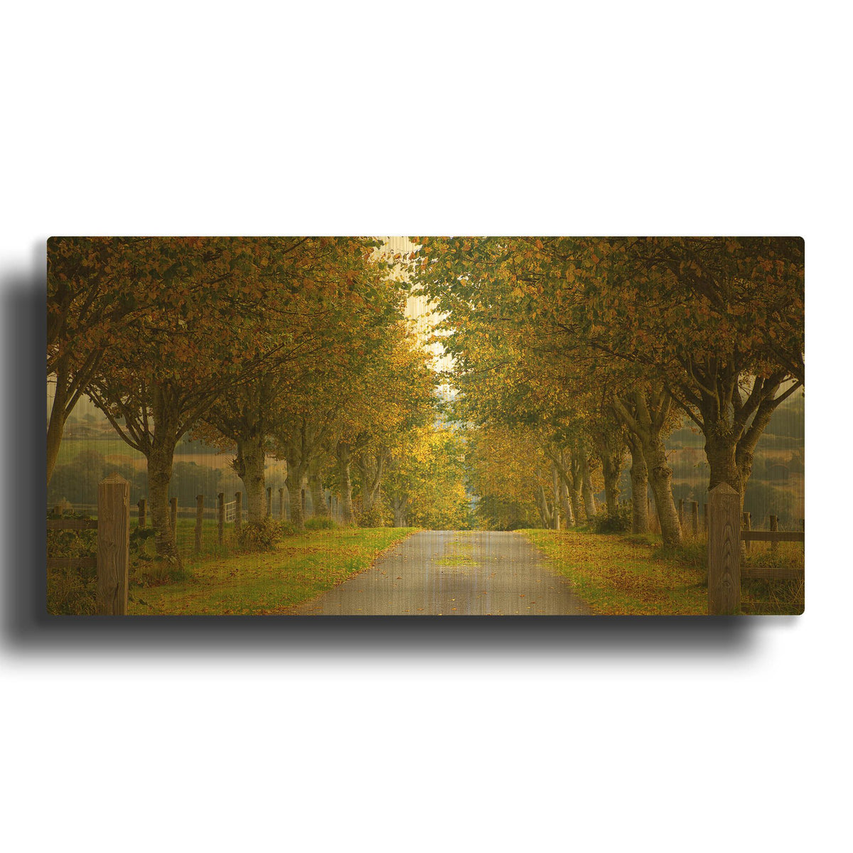 'Colors Of Autumn' By Goncalves Gold Metal Wall Art