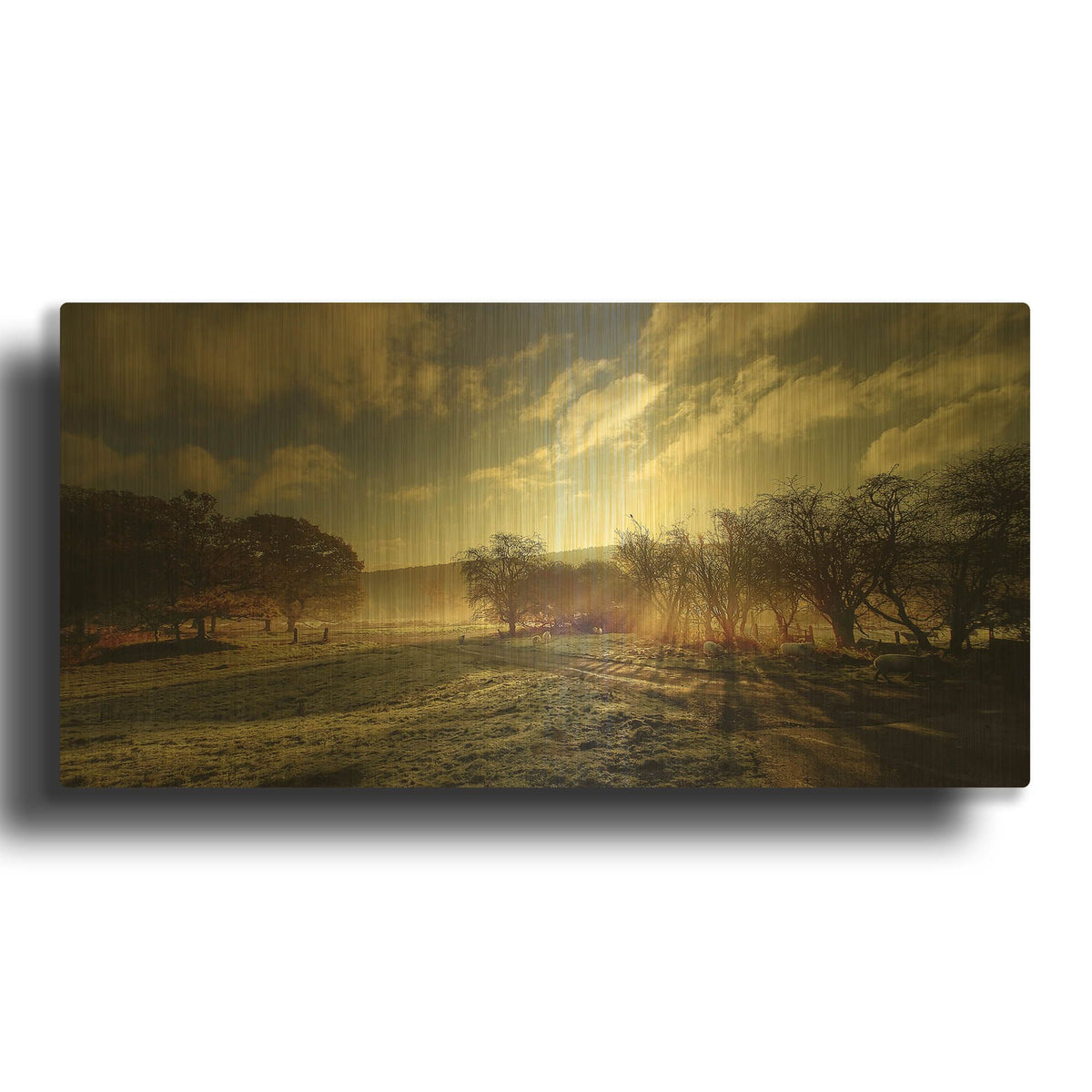 'Here Comes The Sun' By Goncalves Gold Metal Wall Art