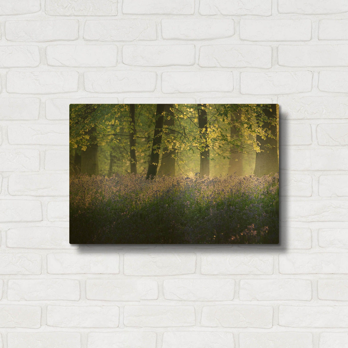 'Last Of The Bluebells' By Goncalves Gold Metal Wall Art