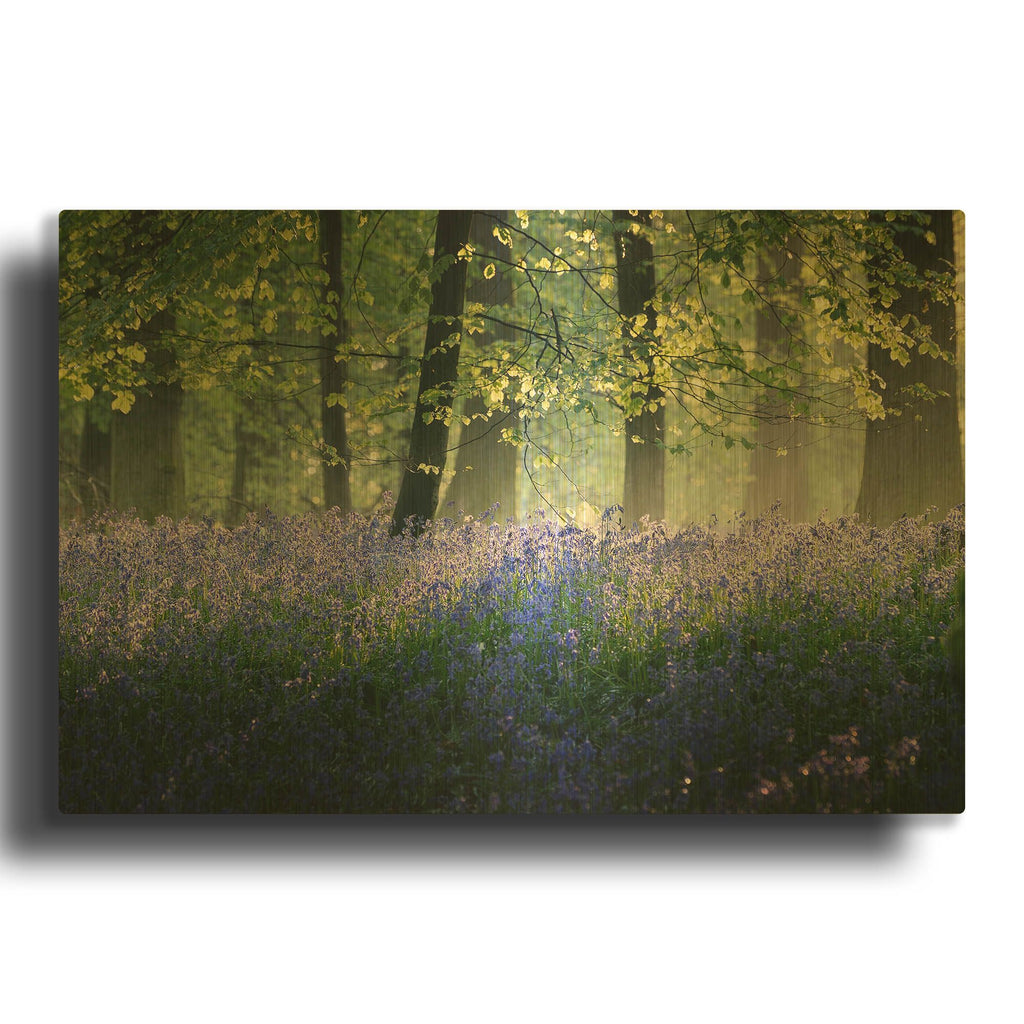'Last Of The Bluebells' By Goncalves Gold Metal Wall Art