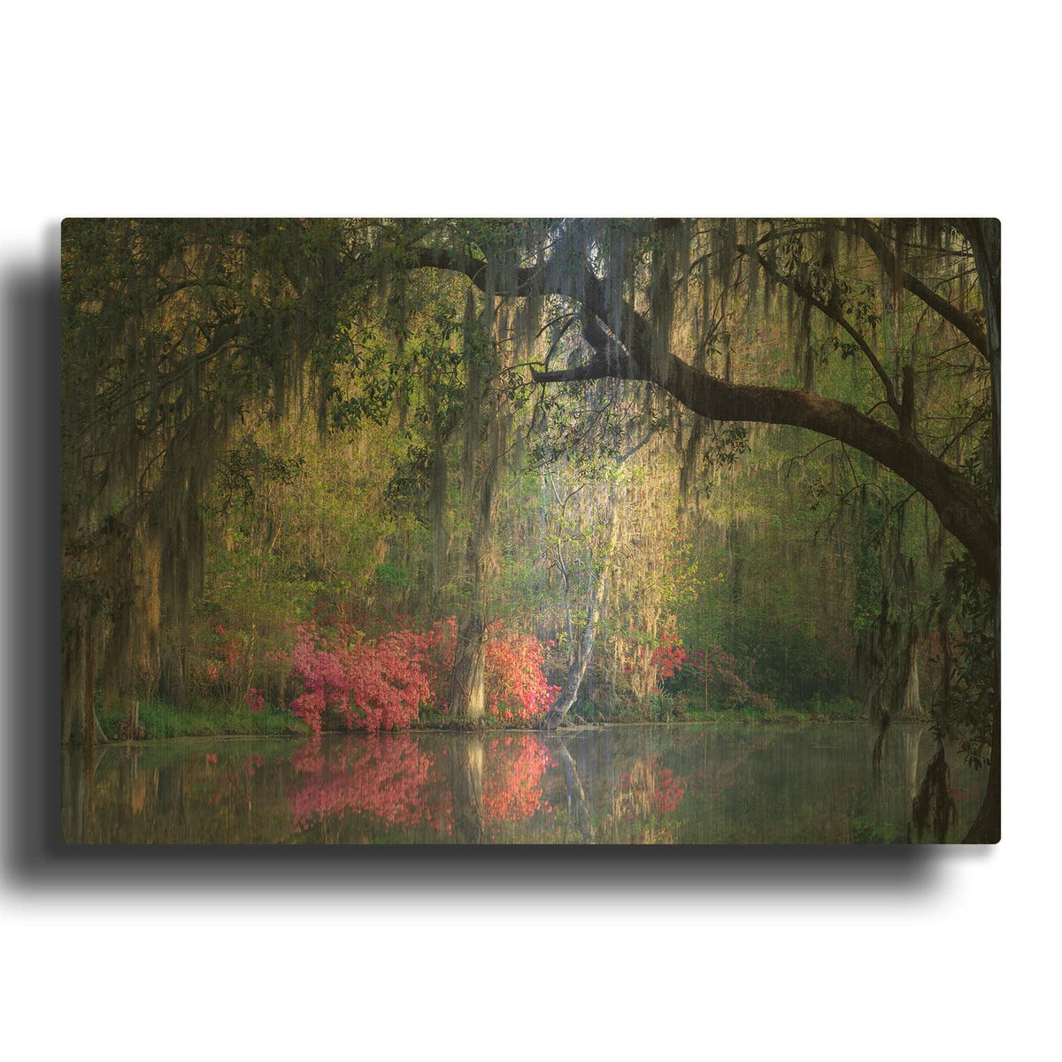 'Morning Serenity' By H.J. Herrera Gold Metal Wall Art
