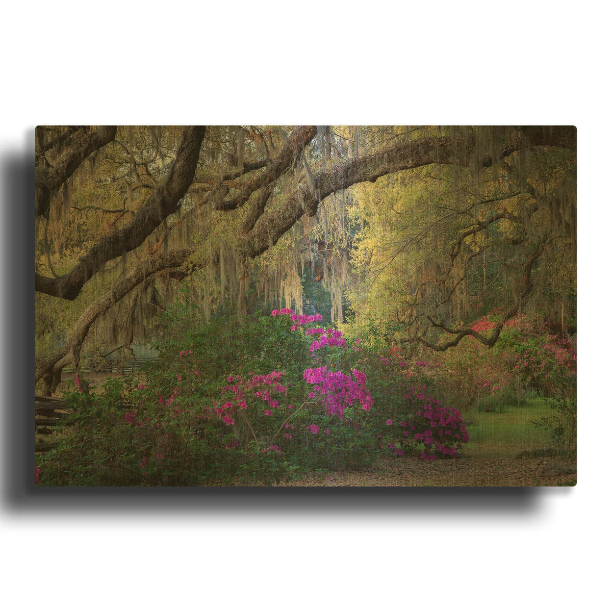 'Oaks And Azaleas' By H.J. Herrera Gold Metal Wall Art