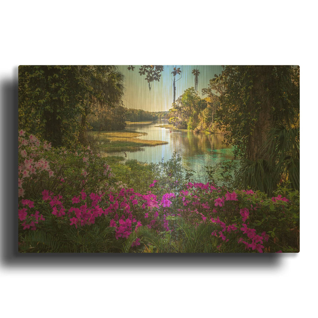 'Rainbow Springs' By H.J. Herrera Gold Metal Wall Art
