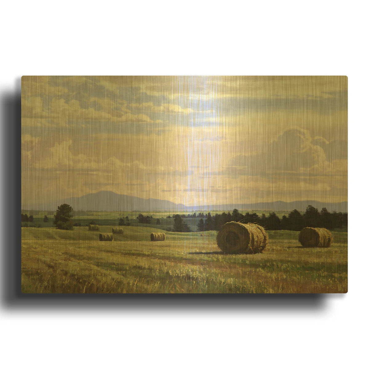 'Fresh Cut Hay' By Jay Moore Gold Metal Wall Art