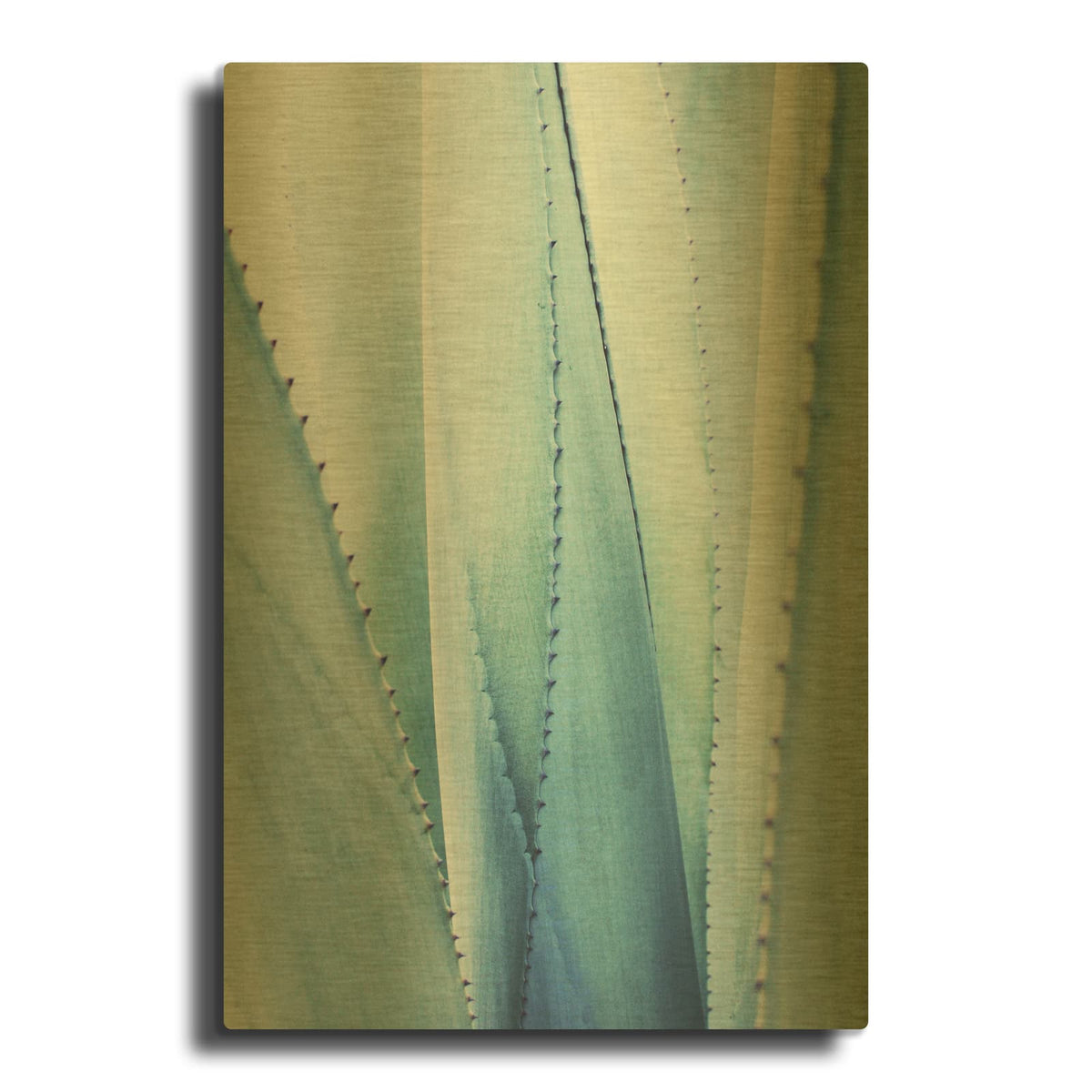 'Pale Blue Agave No. 1' By Lupen Grainne Gold Metal Wall Art