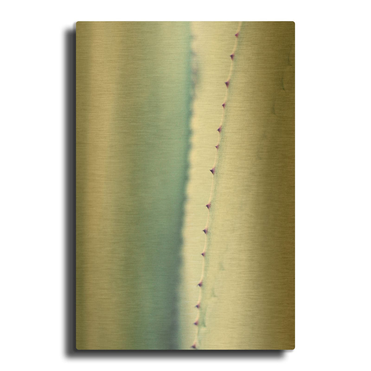 'Pale Blue Agave No. 2' By Lupen Grainne Gold Metal Wall Art