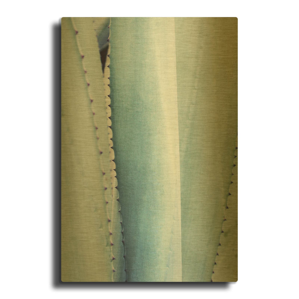 'Pale Blue Agave No. 3' By Lupen Grainne Gold Metal Wall Art