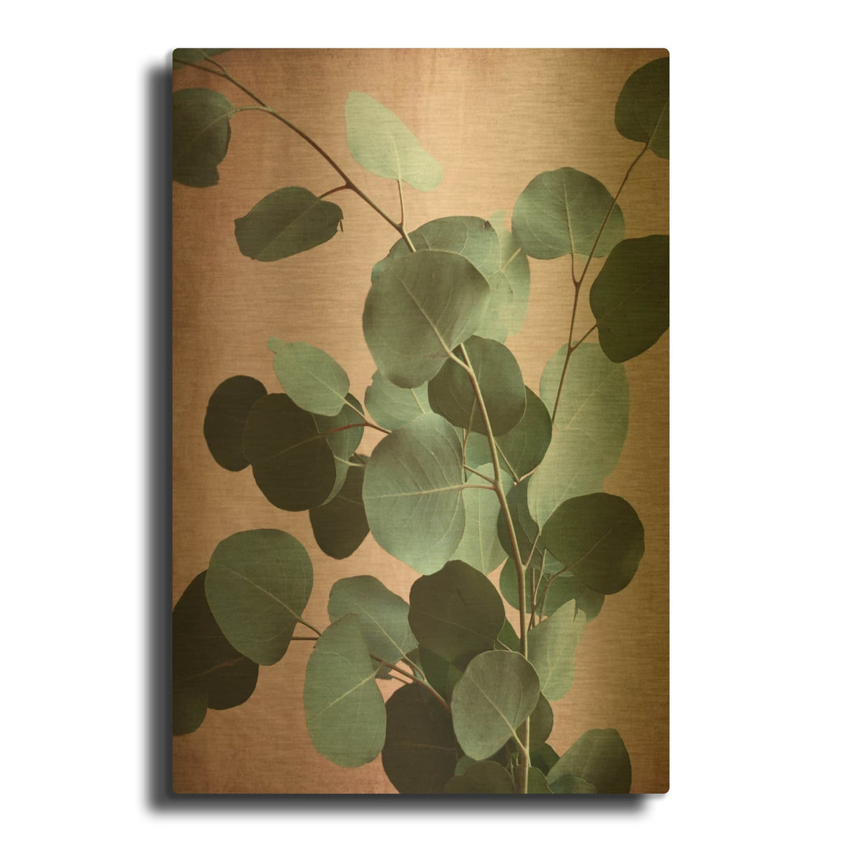 'Sage Eucalyptus No. 1' By Lupen Grainne Gold Metal Wall Art