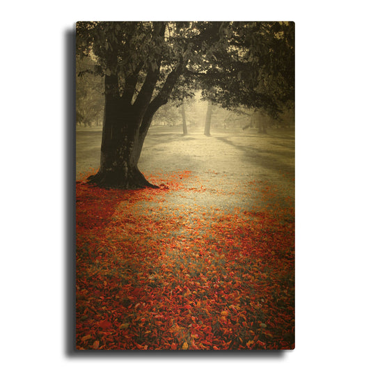 'Autumn Contrast' By PhotoINC Studio Gold Metal Wall Art