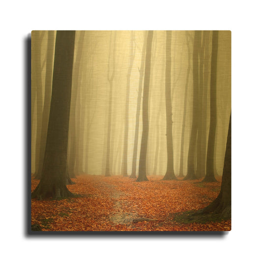 'Autumn Forest Floor' By PhotoINC Studio Gold Metal Wall Art