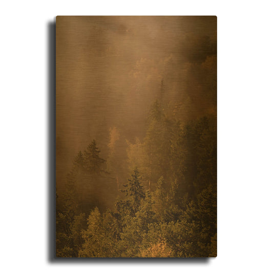 'Autumn Forest' By PhotoINC Studio Gold Metal Wall Art